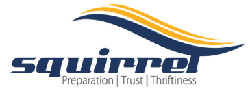 Squirrel Softech Services Private Limited hiring SAP SD Consultant  Job in Ahmedabad